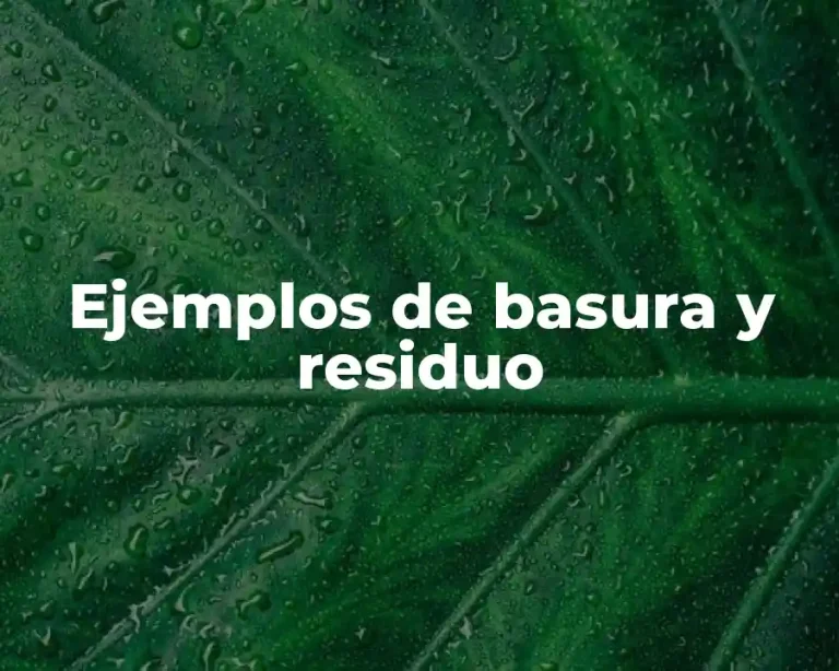 Ejemplos de basura y residuo