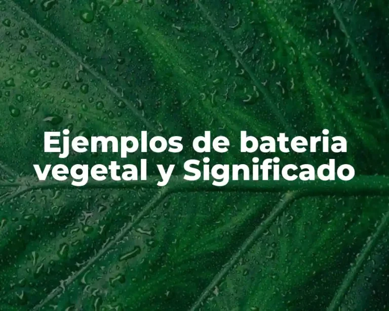 Ejemplos de bateria vegetal y Significado
