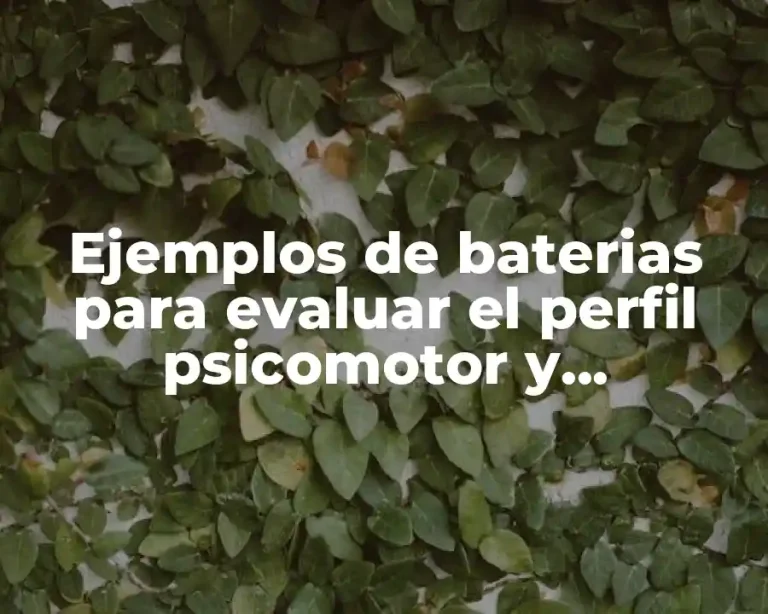 Ejemplos de baterias para evaluar el perfil psicomotor y Significado