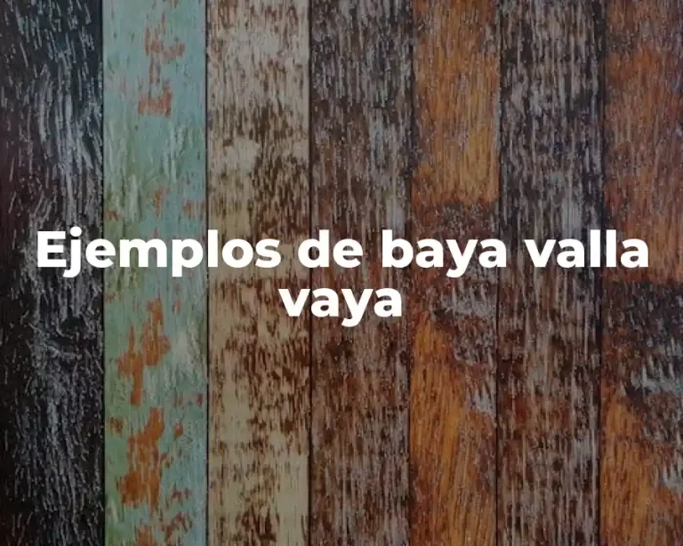 Ejemplos de baya valla vaya