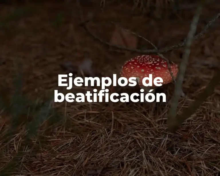 Ejemplos de beatificación