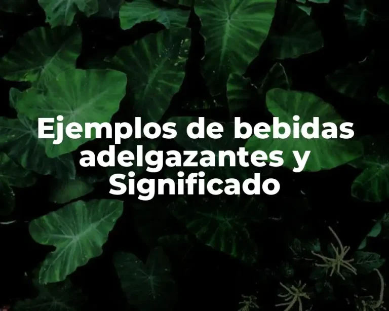 Ejemplos de bebidas adelgazantes y Significado