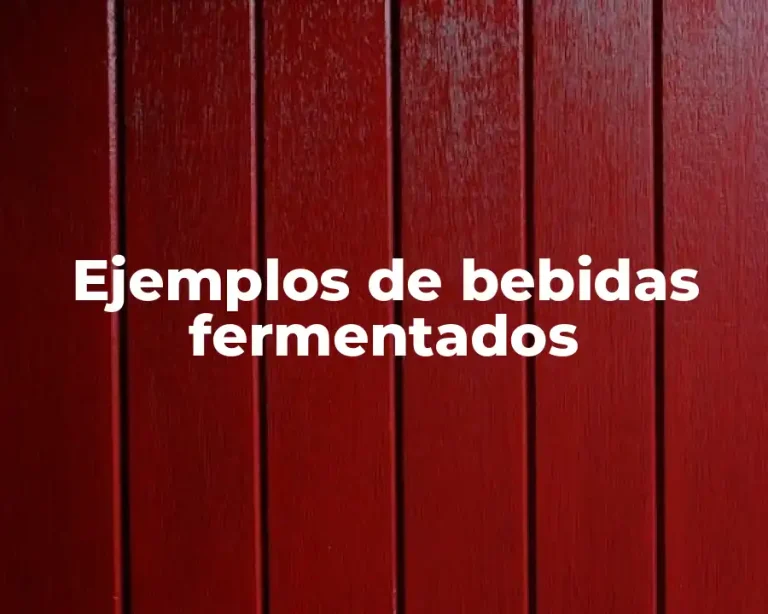 Ejemplos de bebidas fermentados