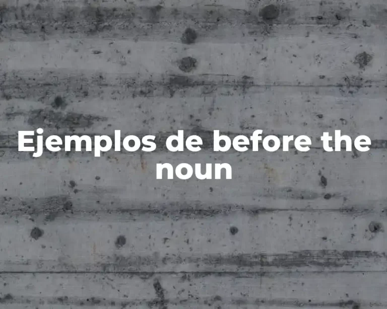 Ejemplos de before the noun