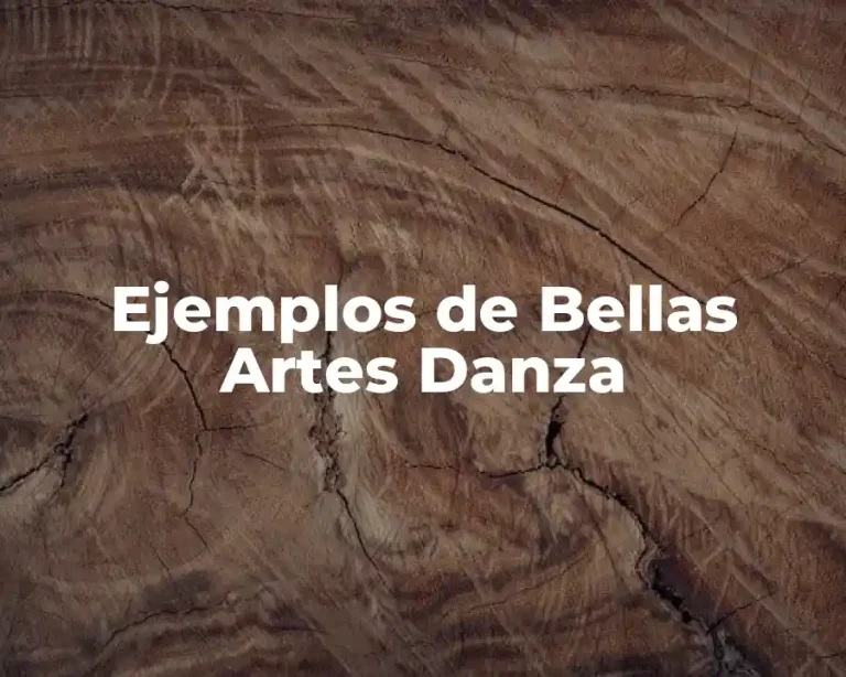 Ejemplos de Bellas Artes Danza