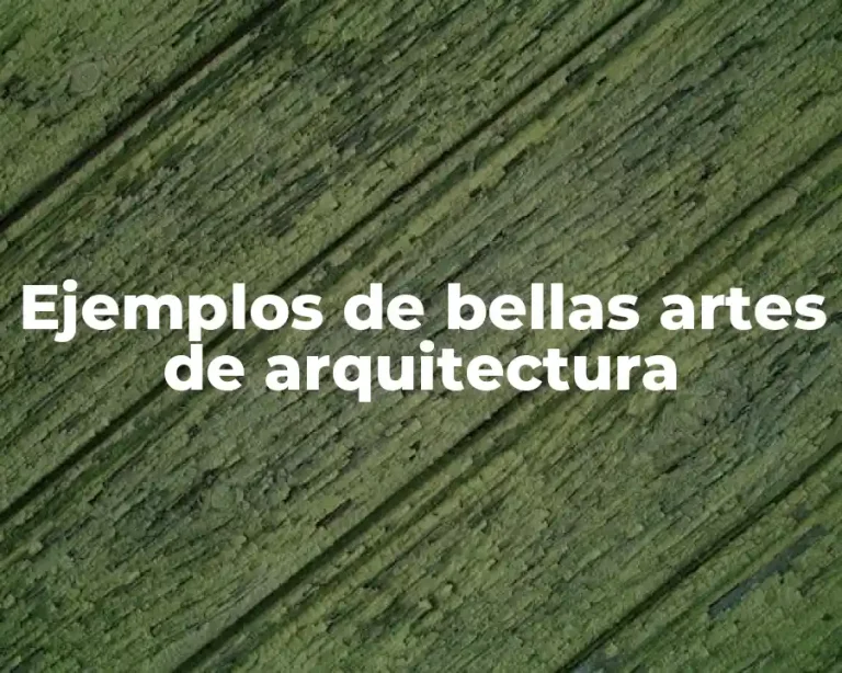 Ejemplos de bellas artes de arquitectura
