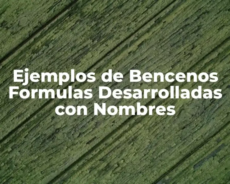 Ejemplos de Bencenos Formulas Desarrolladas con Nombres