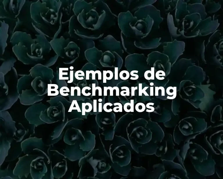 Ejemplos de Benchmarking Aplicados