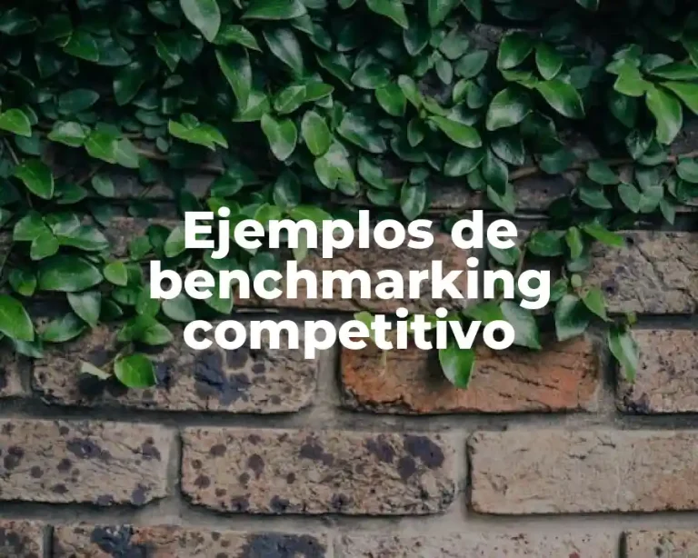 Ejemplos de benchmarking competitivo