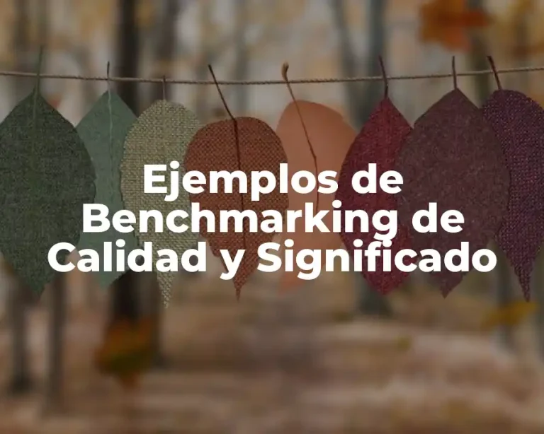 Ejemplos de Benchmarking de Calidad y Significado