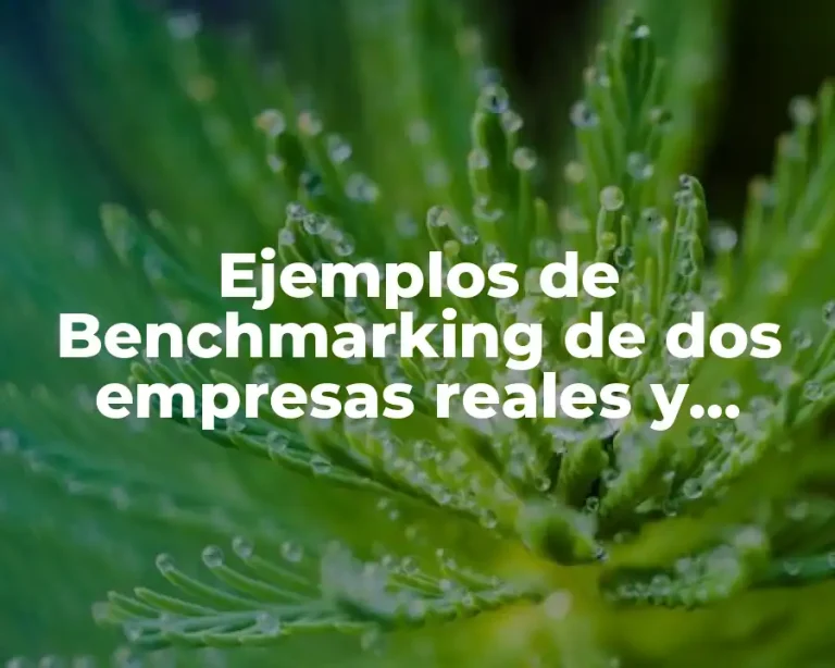 Ejemplos de Benchmarking de dos empresas reales y Significado