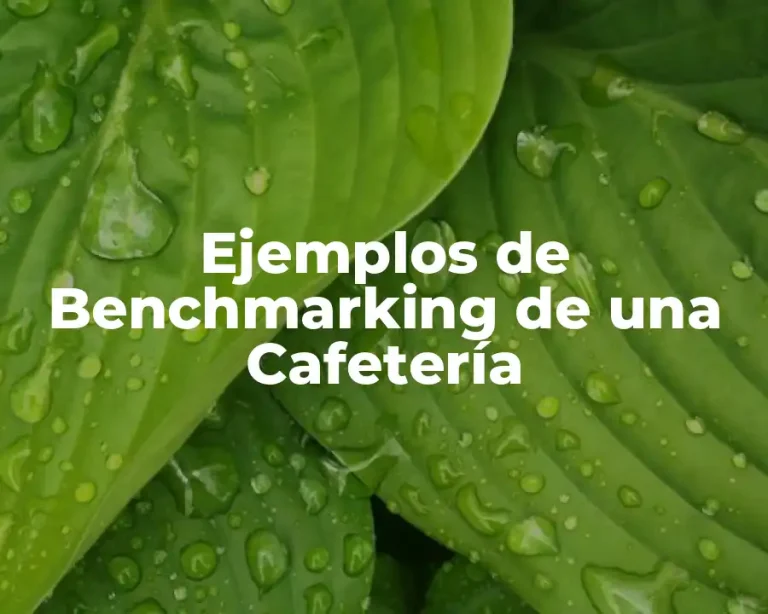 Ejemplos de Benchmarking de una Cafetería