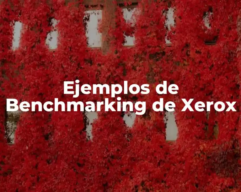 Ejemplos de Benchmarking de Xerox