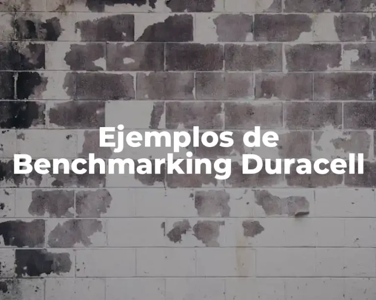 Ejemplos de Benchmarking Duracell