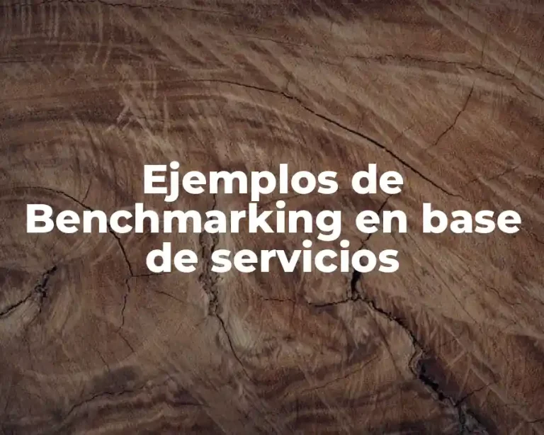 Ejemplos de Benchmarking en base de servicios