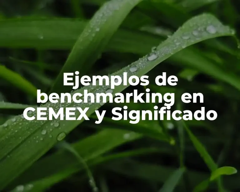 Ejemplos de benchmarking en CEMEX y Significado