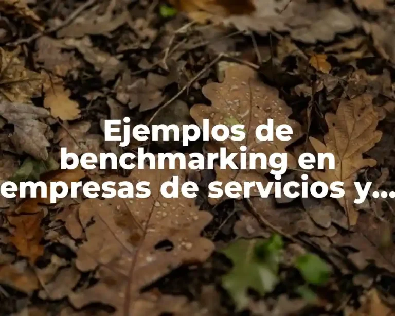 Ejemplos de benchmarking en empresas de servicios y Significado
