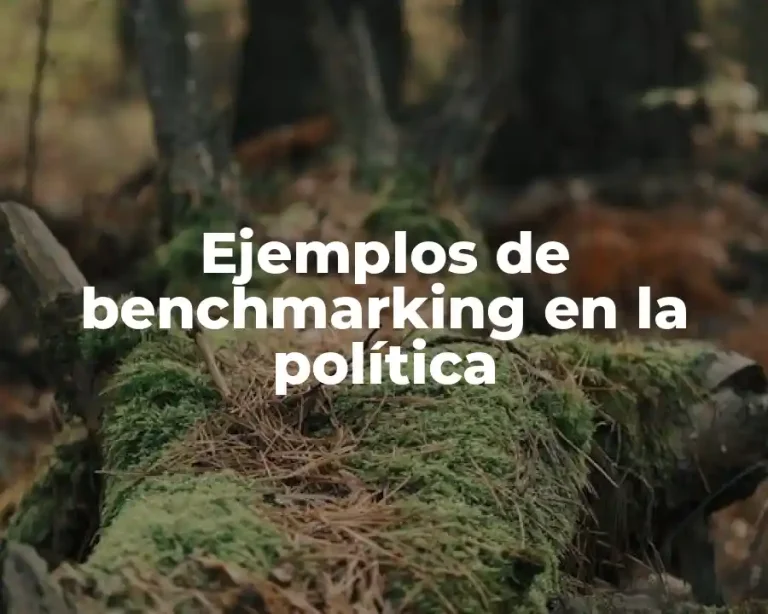 Ejemplos de benchmarking en la política