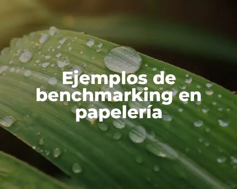 Ejemplos de benchmarking en papelería