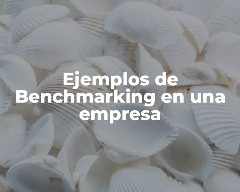 Ejemplos de Benchmarking en una empresa