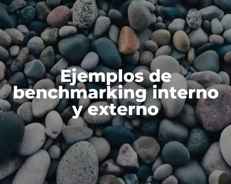 Ejemplos de benchmarking interno y externo