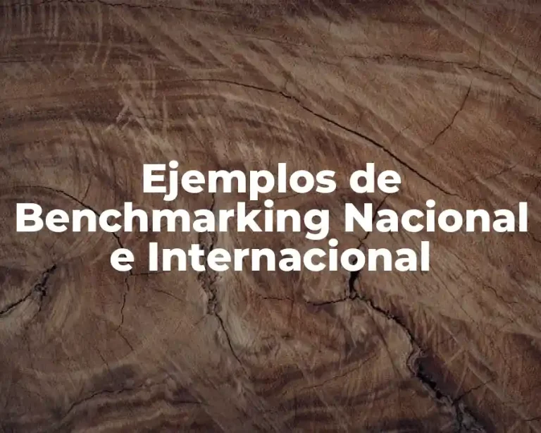 Ejemplos de Benchmarking Nacional e Internacional