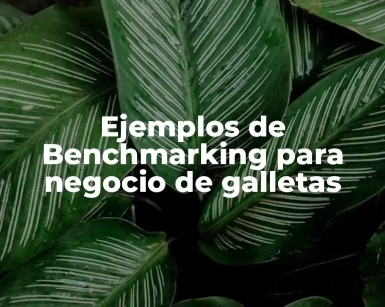 Ejemplos de Benchmarking para negocio de galletas