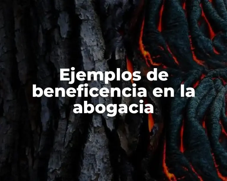 Ejemplos de beneficencia en la abogacia