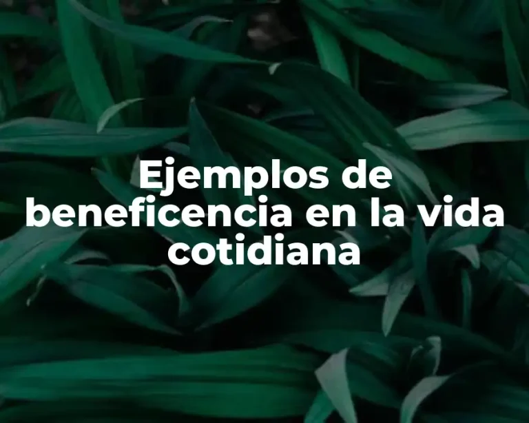 Ejemplos de beneficencia en la vida cotidiana