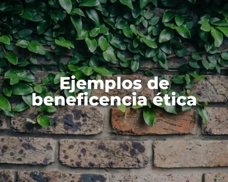 Ejemplos de beneficencia ética