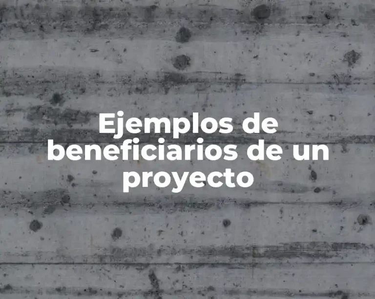 Ejemplos de beneficiarios de un proyecto