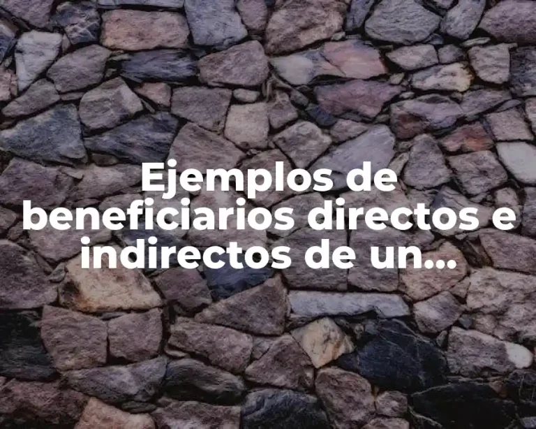 Ejemplos de beneficiarios directos e indirectos de un proyecto social
