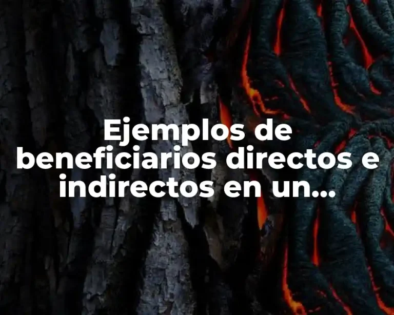 Ejemplos de beneficiarios directos e indirectos en un emprendimiento