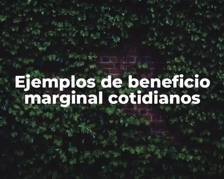Ejemplos de beneficio marginal cotidianos
