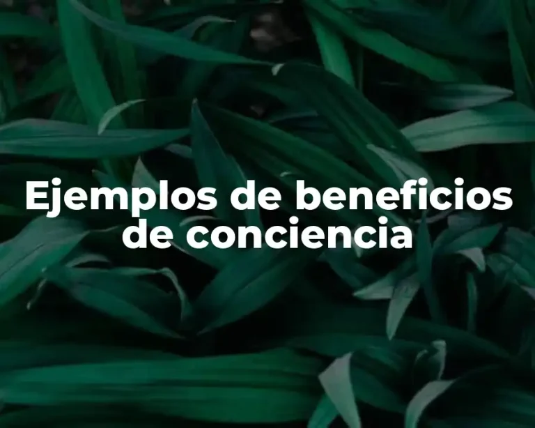 Ejemplos de beneficios de conciencia