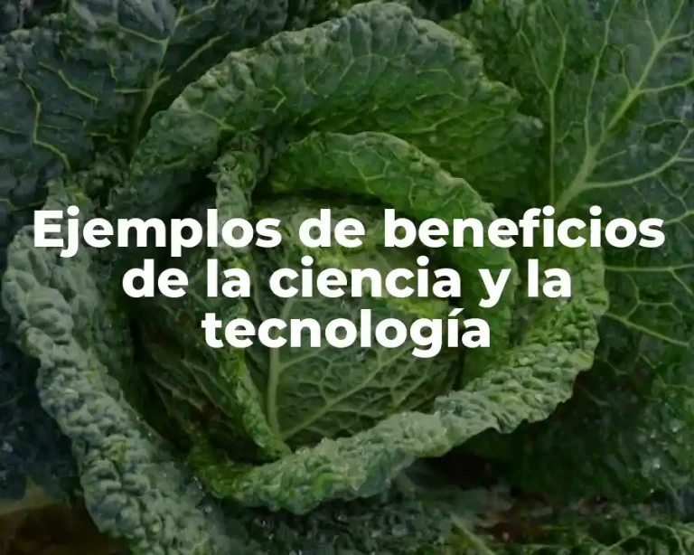 Ejemplos de beneficios de la ciencia y la tecnología
