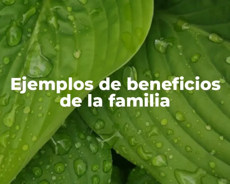 Ejemplos de beneficios de la familia
