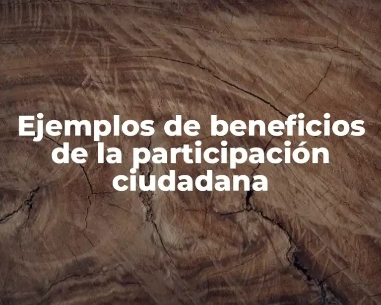 Ejemplos de beneficios de la participación ciudadana