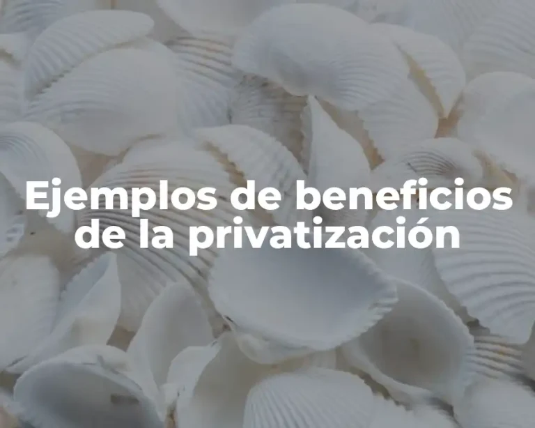 Ejemplos de beneficios de la privatización