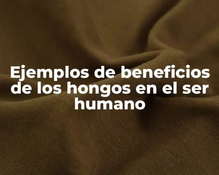 Ejemplos de beneficios de los hongos en el ser humano