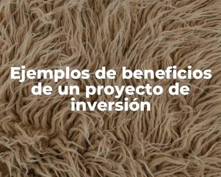 Ejemplos de beneficios de un proyecto de inversión