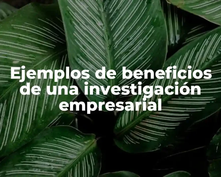 Ejemplos de beneficios de una investigación empresarial