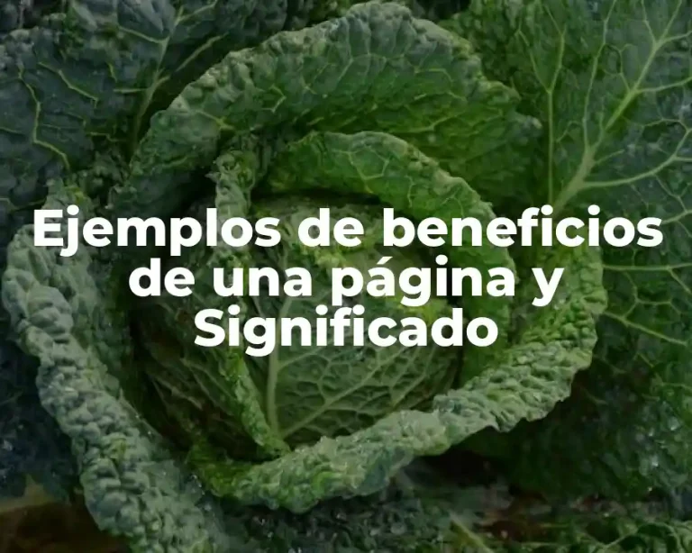 Ejemplos de beneficios de una página y Significado
