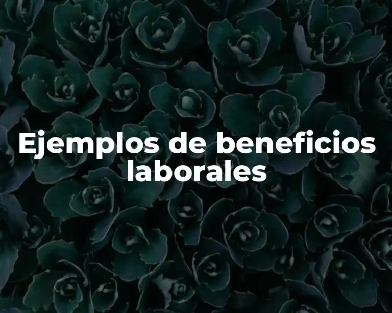 Ejemplos de beneficios laborales