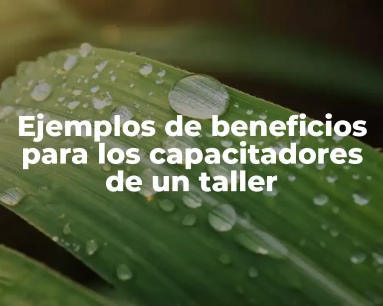 Ejemplos de beneficios para los capacitadores de un taller