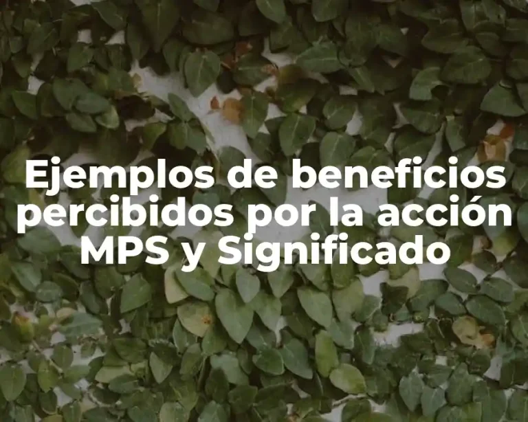 Ejemplos de beneficios percibidos por la acción MPS y Significado