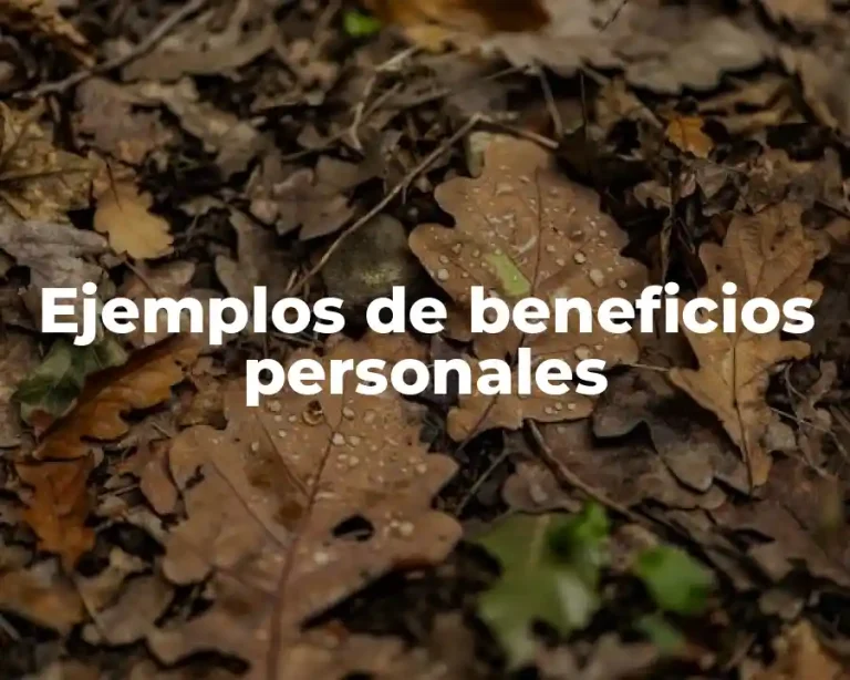 Ejemplos de beneficios personales
