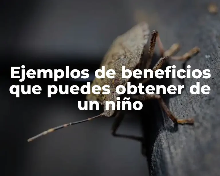 Ejemplos de beneficios que puedes obtener de un niño