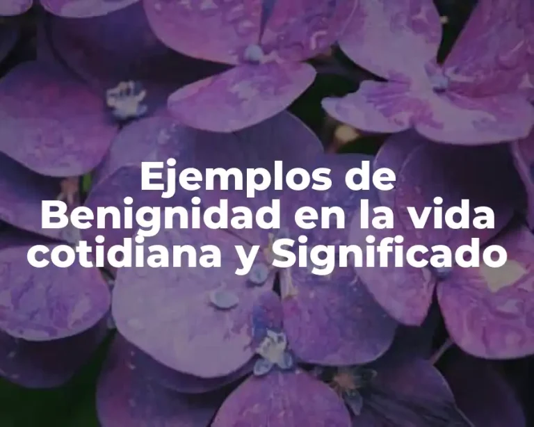 Ejemplos de Benignidad en la vida cotidiana y Significado