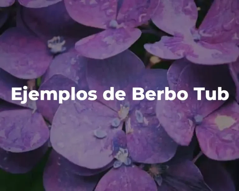 Ejemplos de Berbo Tub
